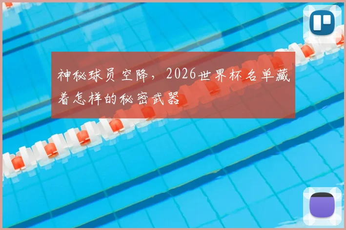 神秘球员空降,2026世界杯名单藏着怎样的秘密武器